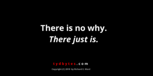 There is no why, there just is. - Richard E. Ward