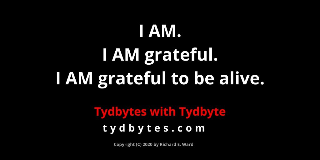 I AM. I AM grateful. I AM grateful to be alive. - Tydbytes.com